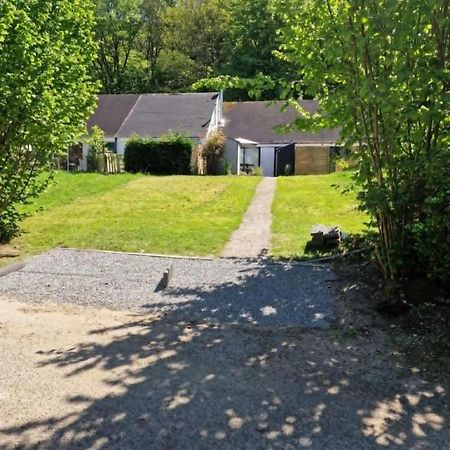 Cocon Douillet Avec Chaleur Ambiante Du Poele A Pellets Villa Hastiere-par-dela Exteriör bild